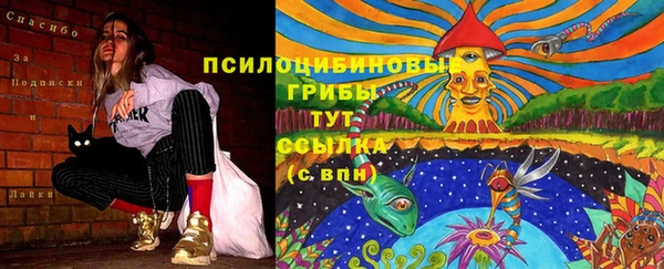 ALPHA PVP Осинники