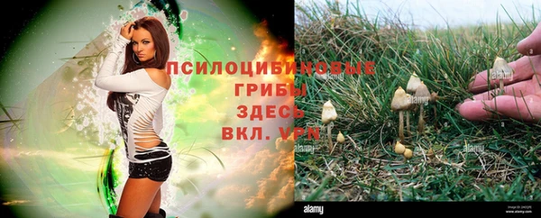 марихуана Пестово